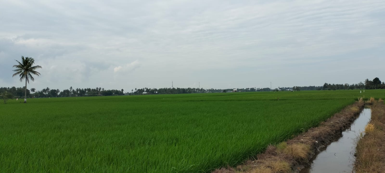Desa Padangloang